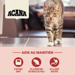 Indoor Entrée Dry Cat Food, 1.8 kg