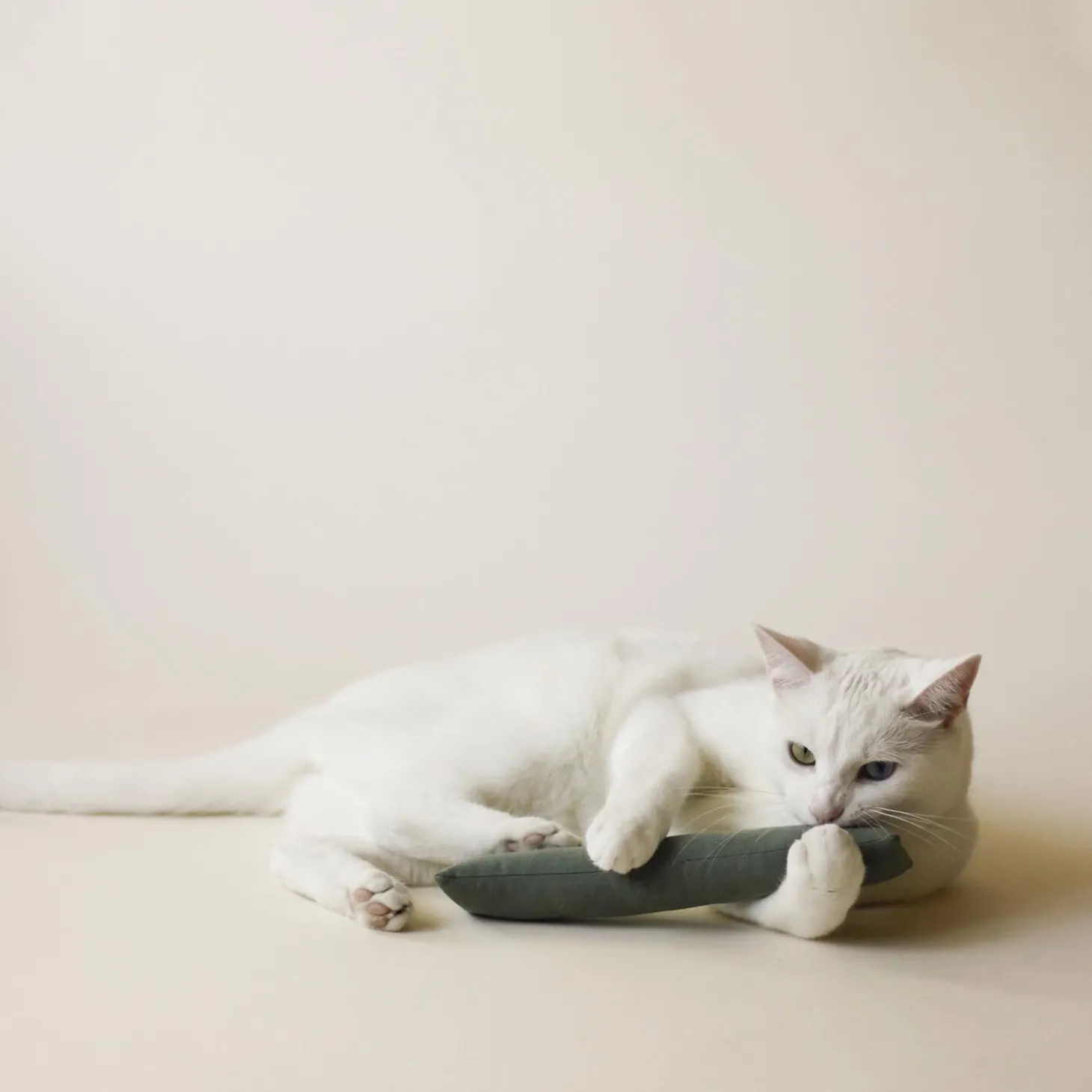 Indoor Fishing Toy Bundle for Cats