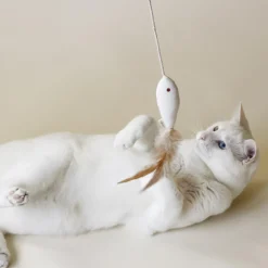 Indoor Fishing Toy Bundle for Cats