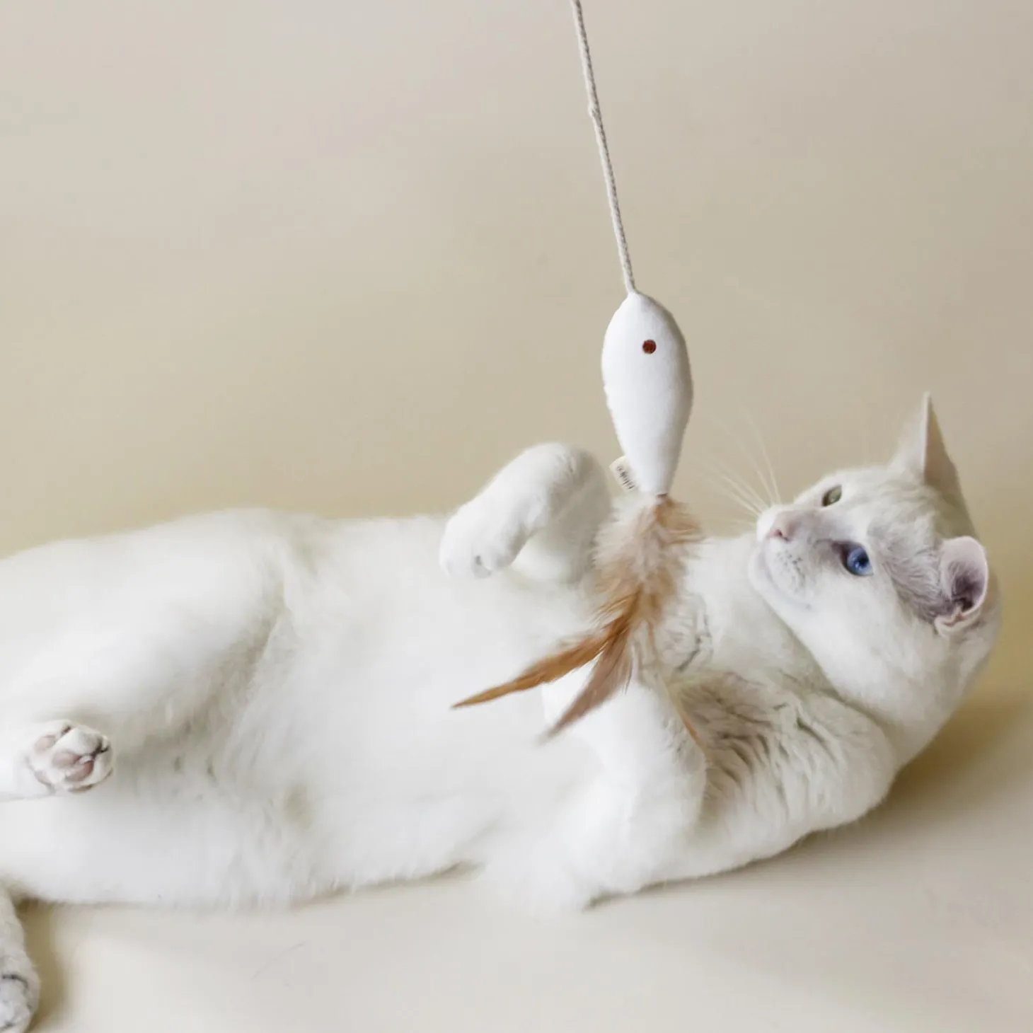 Indoor Fishing Toy Bundle for Cats