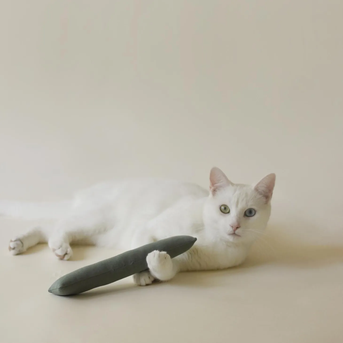 Indoor Hiking Toy Bundle for Cats