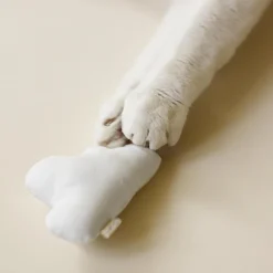 Indoor Hiking Toy Bundle for Cats