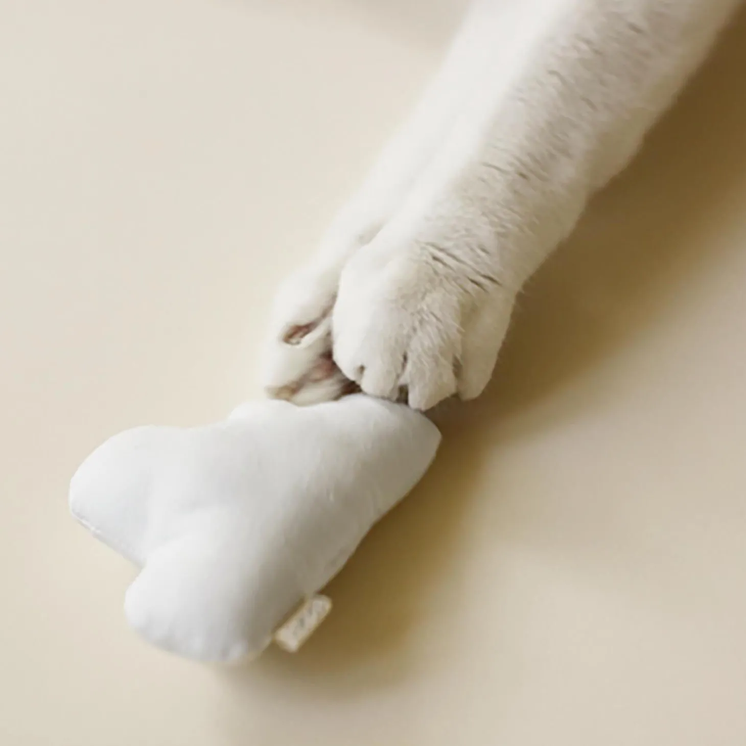 Indoor Hiking Toy Bundle for Cats