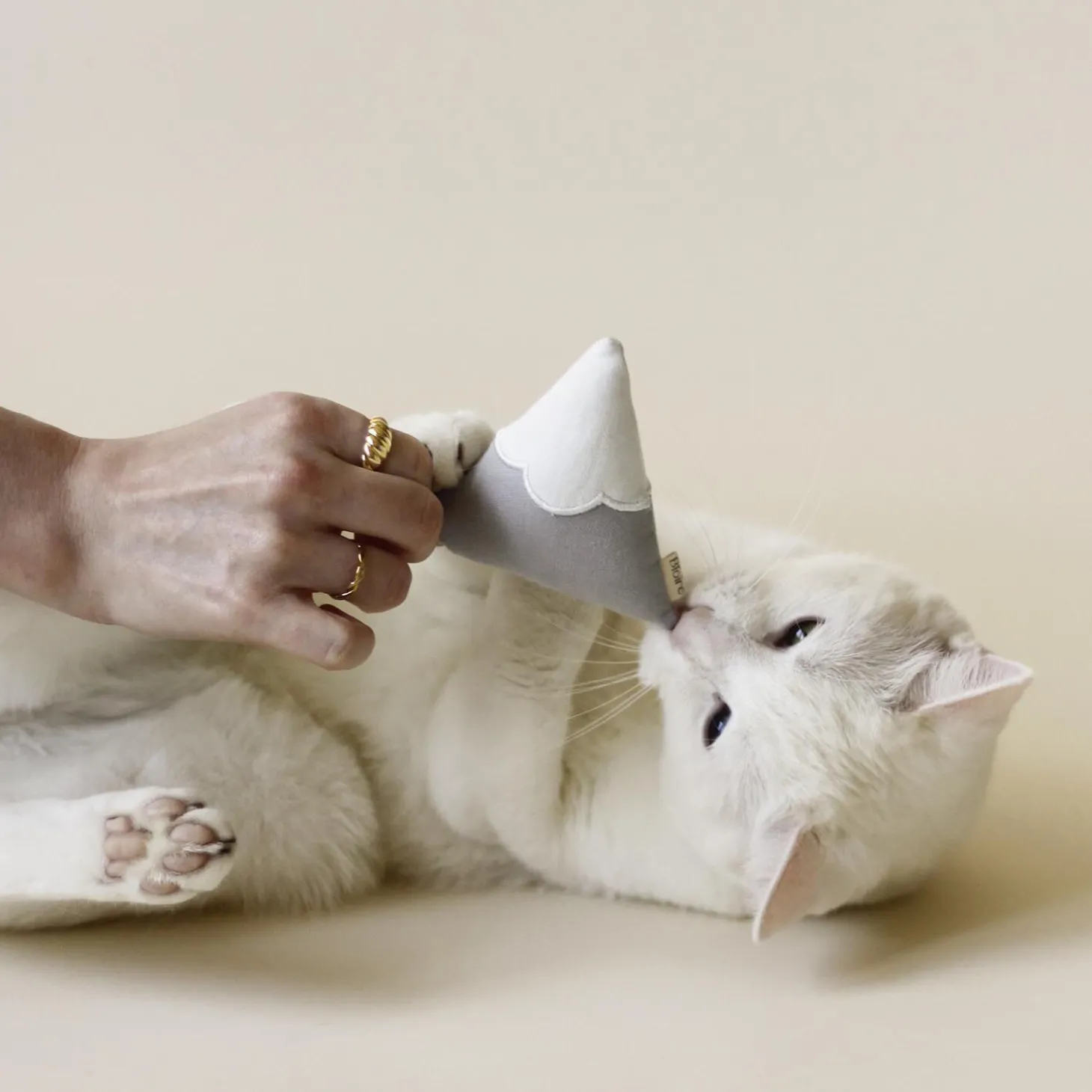 Indoor Hiking Toy Bundle for Cats