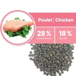 Indoor Vitality Chicken Formula for Adult Cats