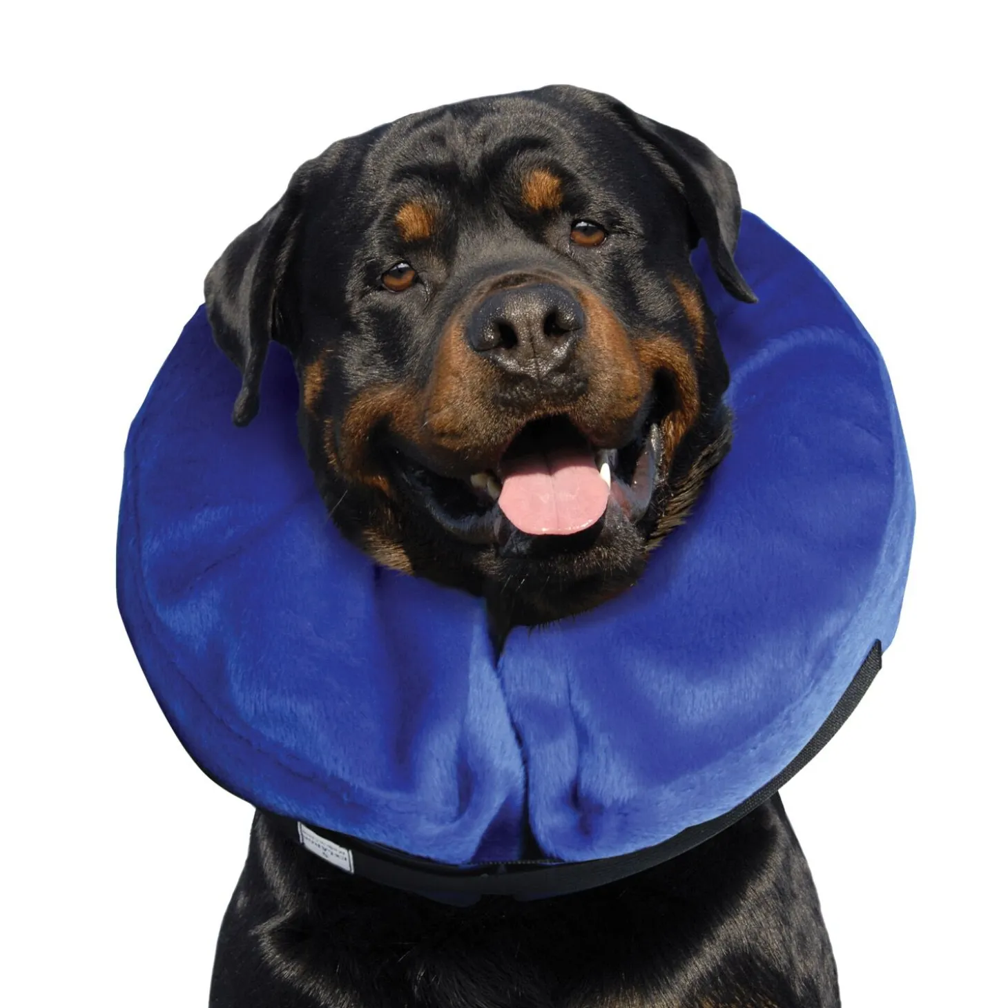 Inflatable Collar for Dogs