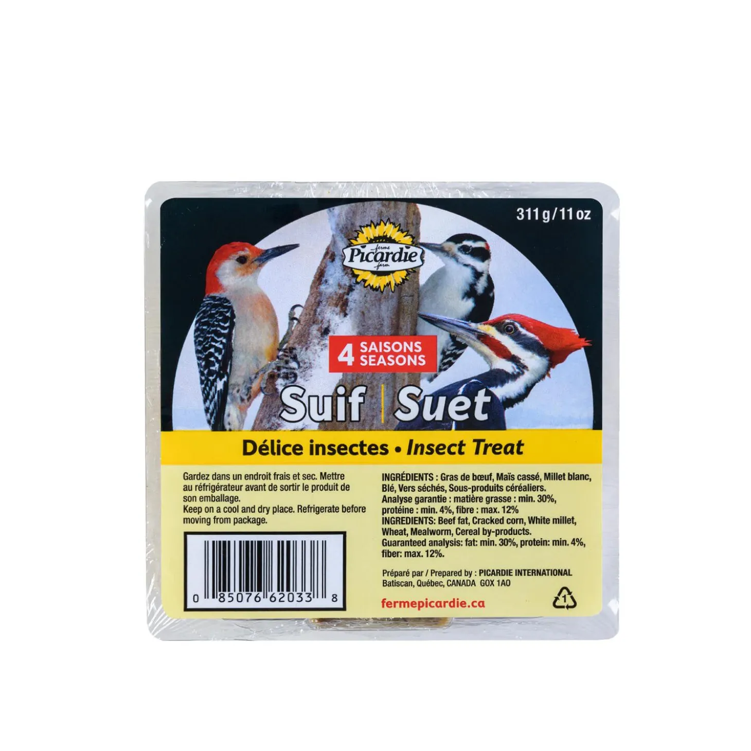 Insect suet for birds