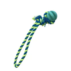 Interactive Dog Ball with Chew Rope