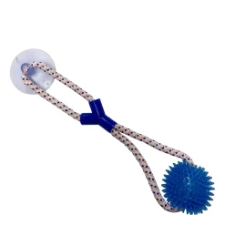 Interactive Dog Ball with Suction Cup