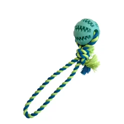 Interactive Dog Ball with Chew Rope