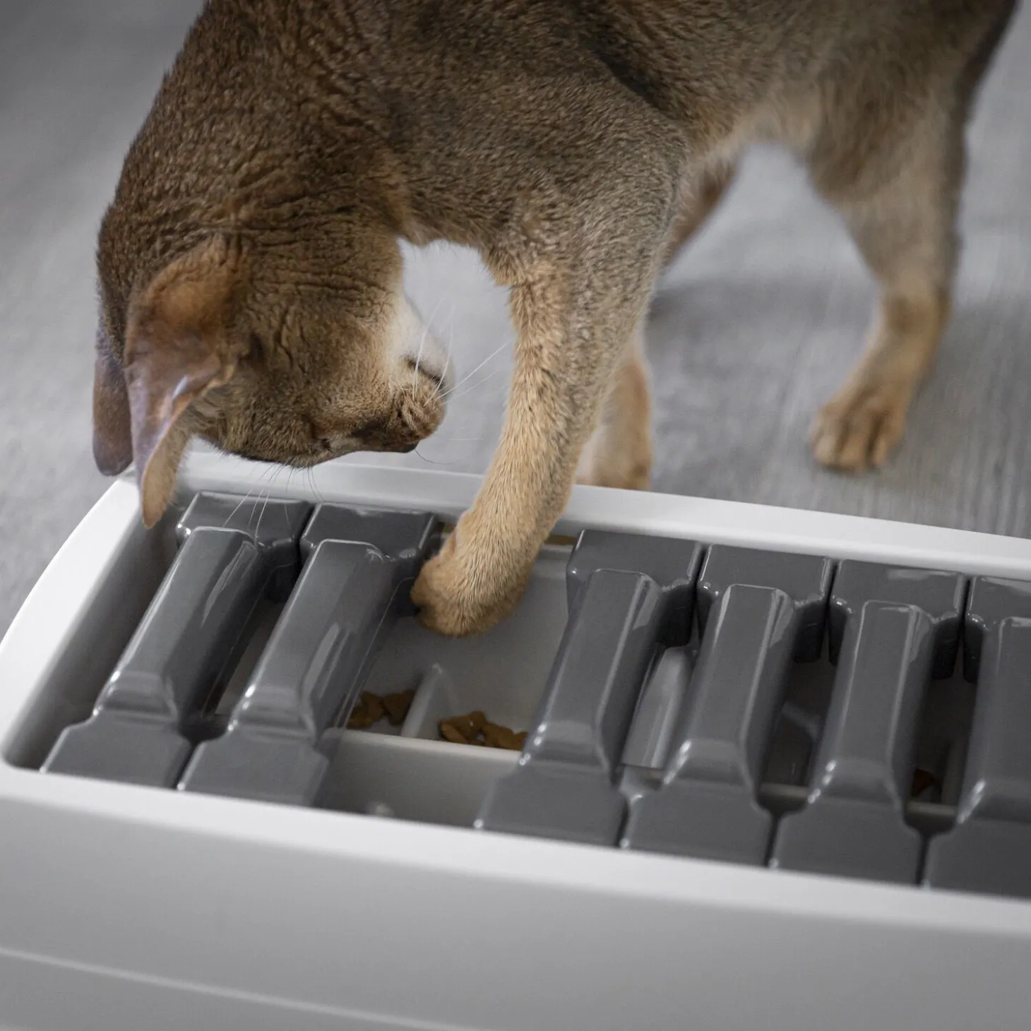 Interactive Sliding Feeder