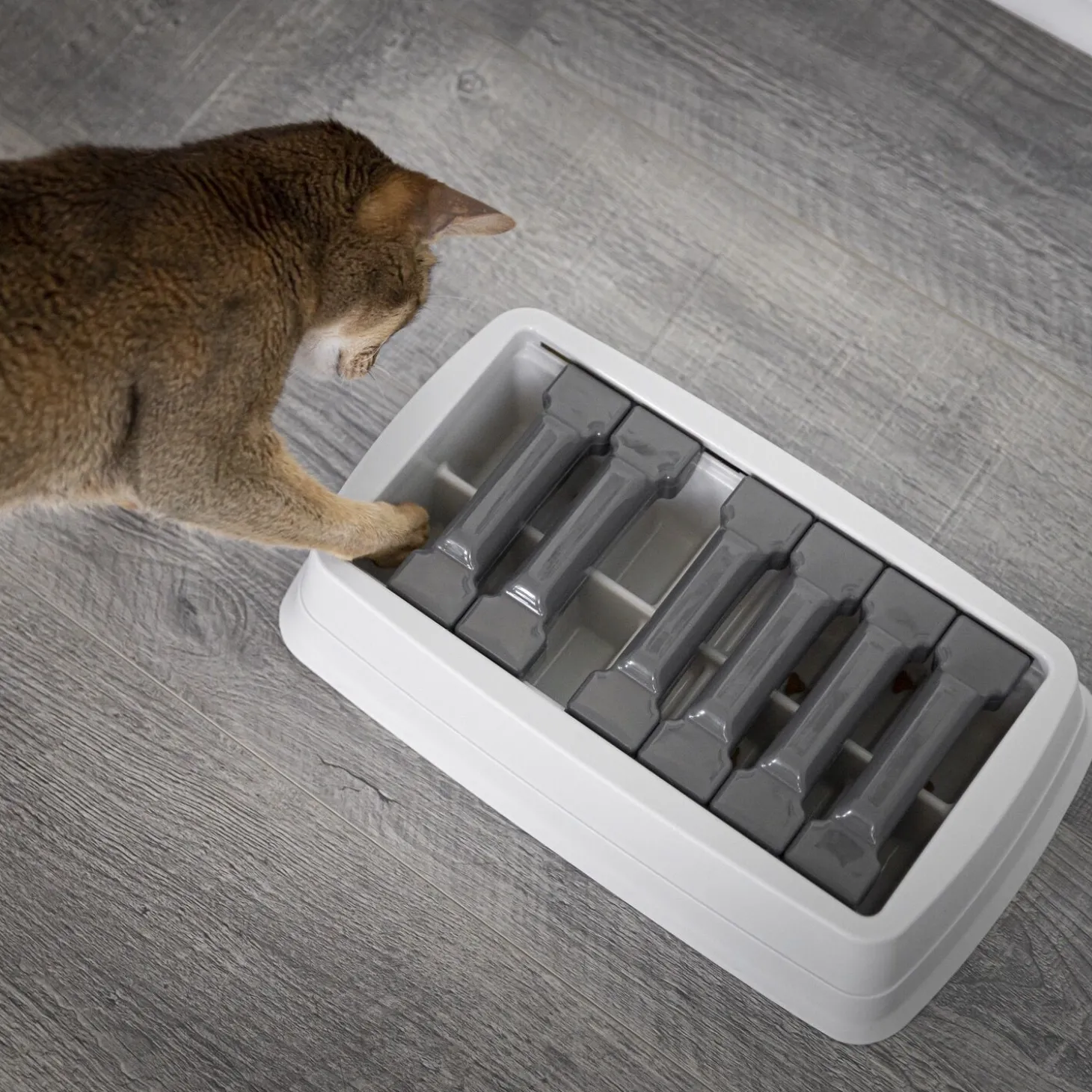 Interactive Sliding Feeder