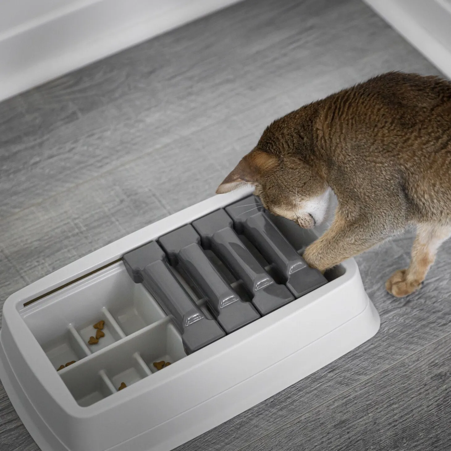 Interactive Sliding Feeder