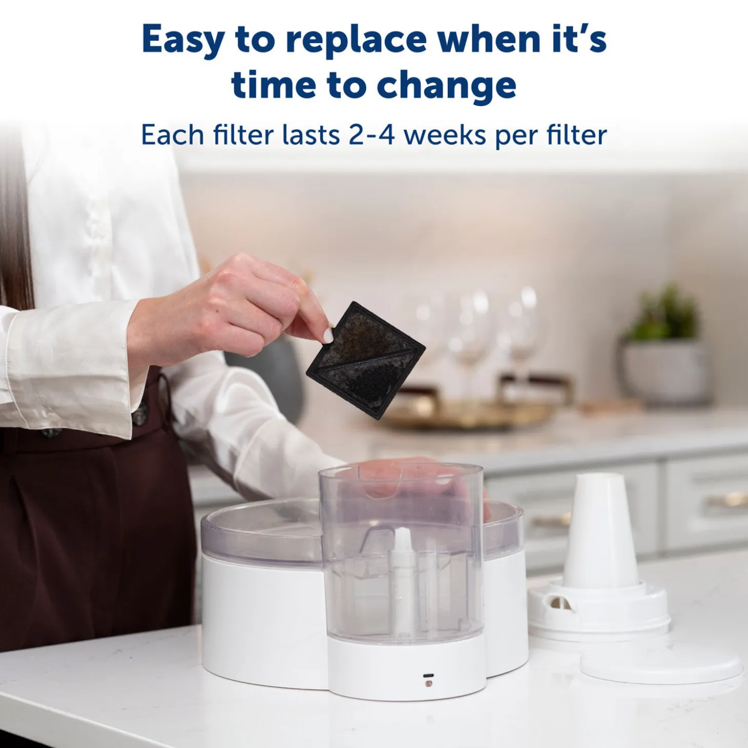 Ion-X Filter, 4 Pack