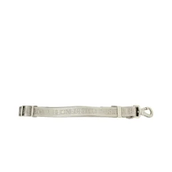 Irish Cream Embroidered Dog Leash
