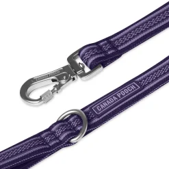 Jacquard Leash for Dogs