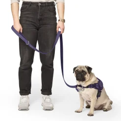 Jacquard Leash for Dogs