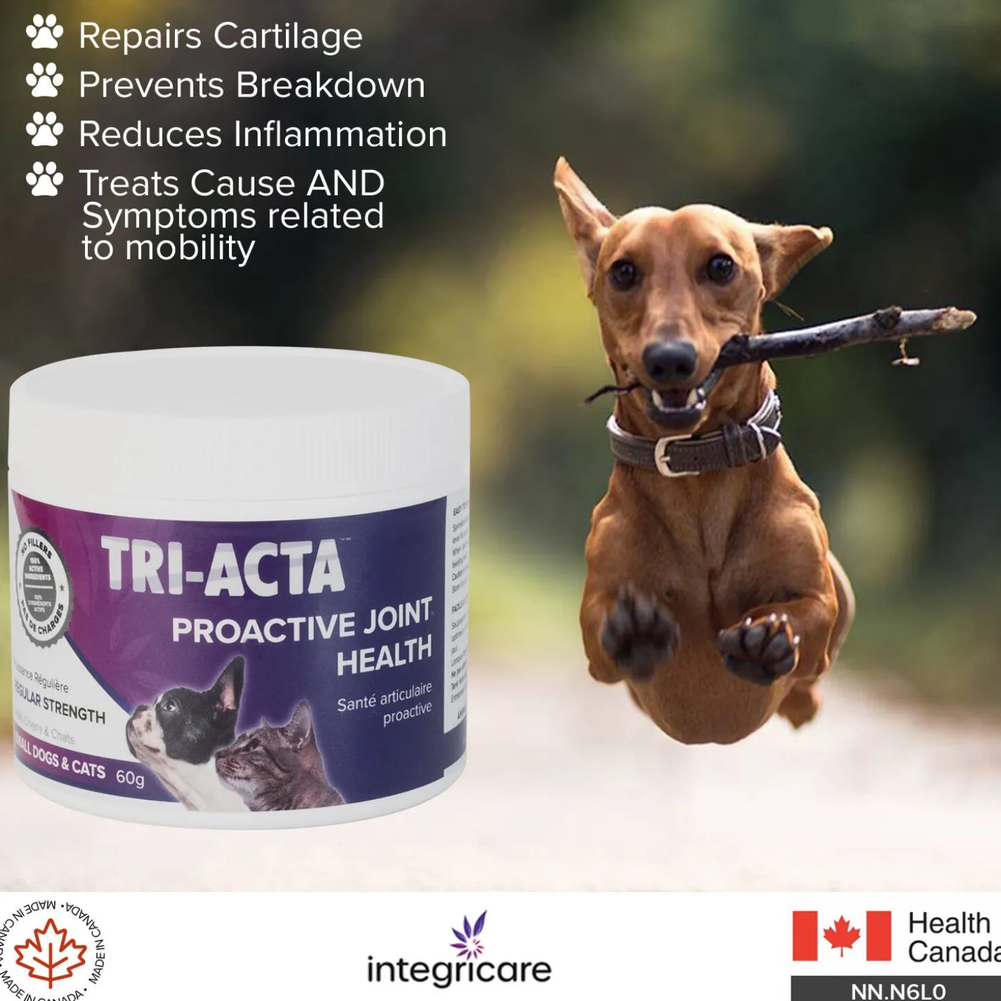 Joint & mobility supplements, regular strenght 60g