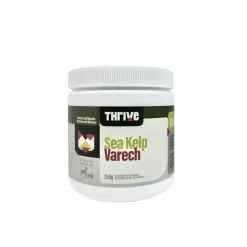 Kelp supplement