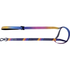 Laisse multifonction en silicone pour chien