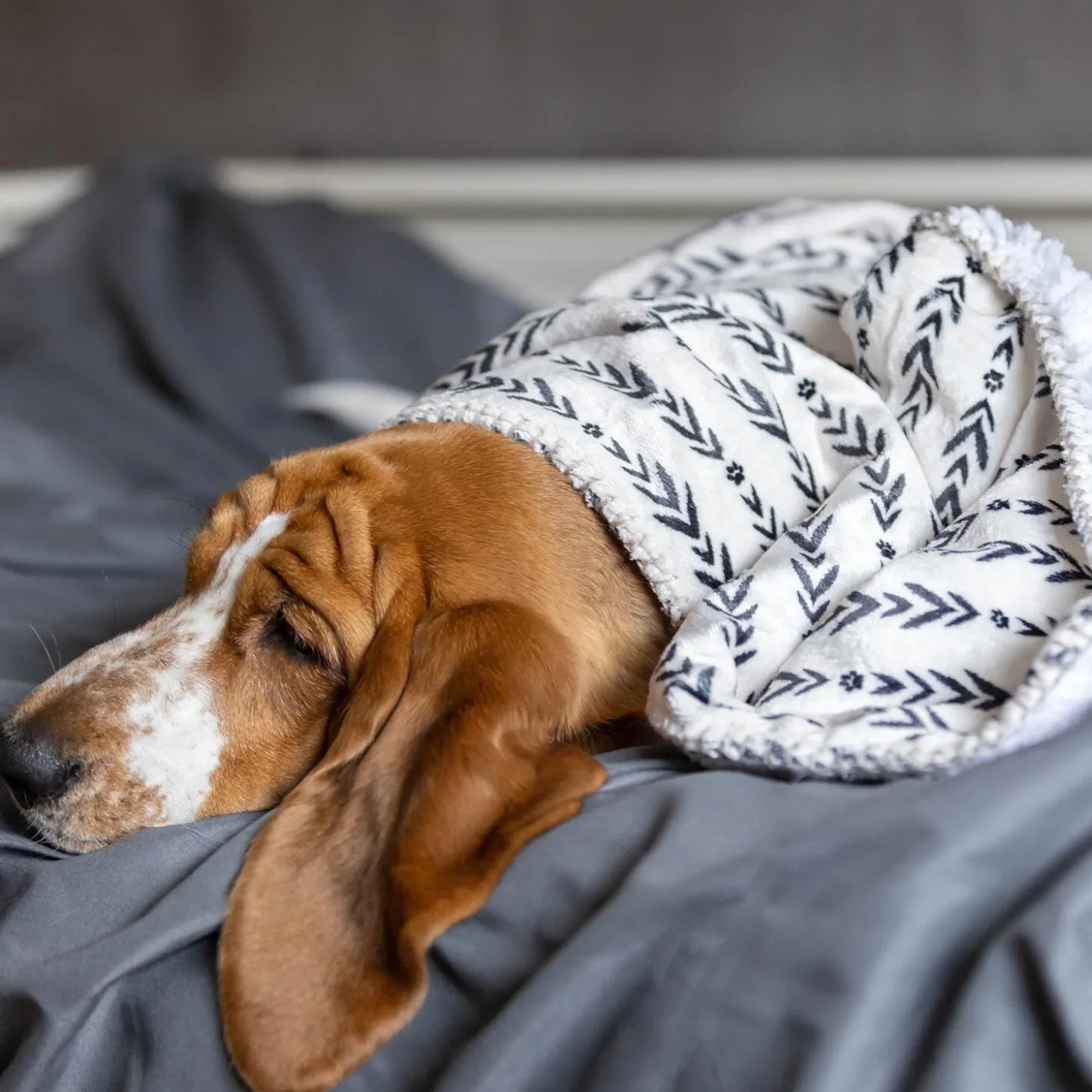 Lakewood Blanket