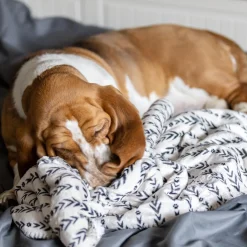 Lakewood Blanket