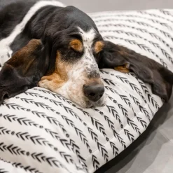 Lakewood Cloud Pillow Cover