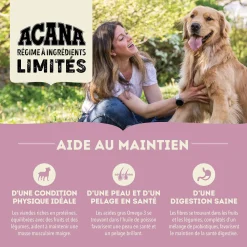 Lamb & Apple Dry Dog Food Recipe, 5.4 kg