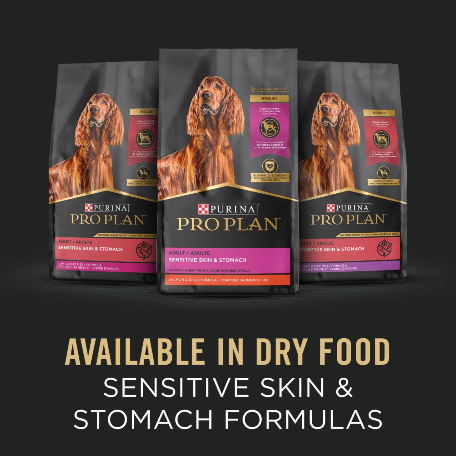 Lamb & Oat Meal Entrée Classic Adult Sensitive Skin & Stomach Wet Dog Food, 368 g