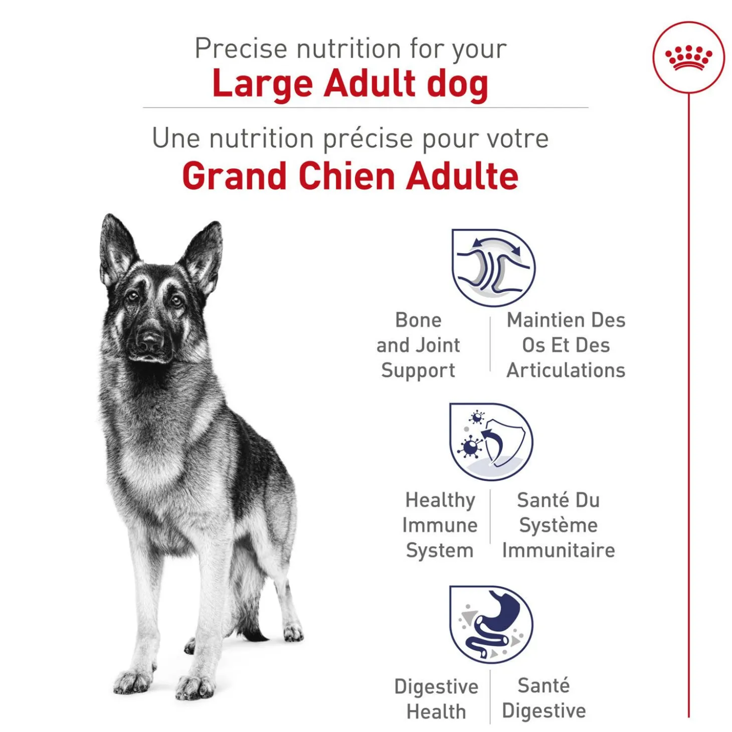 Large Adult Dog Dry Food