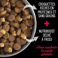 Large breed dogs grain free dry food, Prairie Red