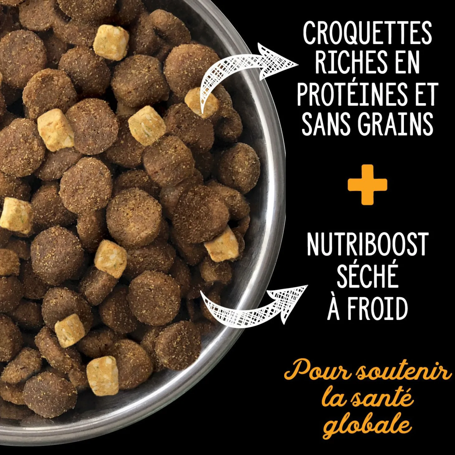 Large Breed Fraser Valley Grain Free Dry Food for Dogs