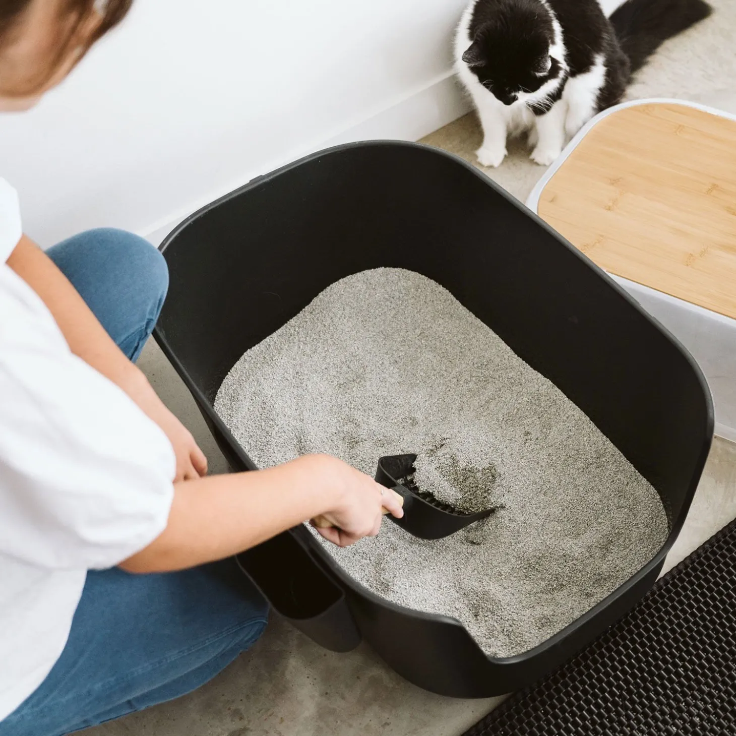 Large Luxury Litter Box