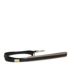 Leash for small dogs