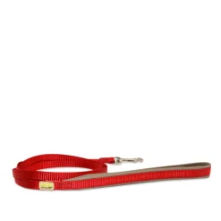 Leash for small dogs
