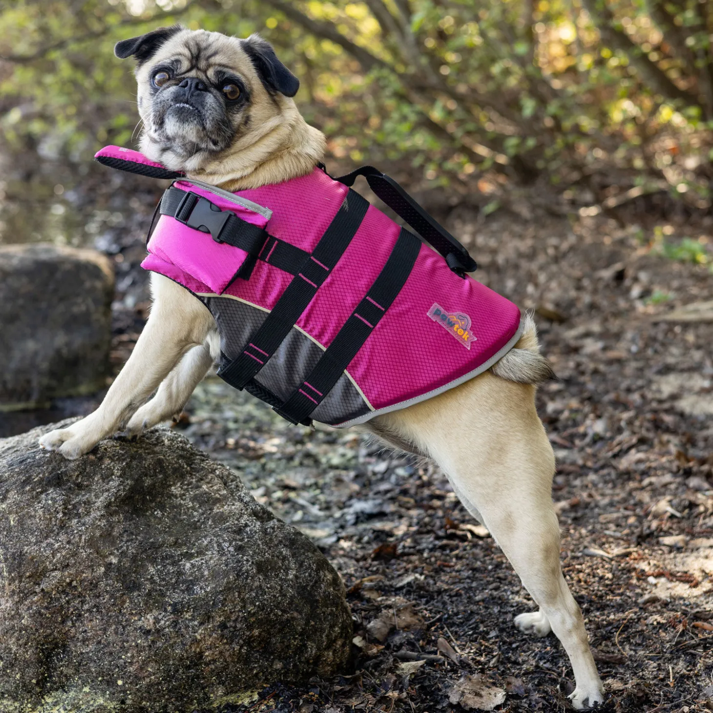 Life Vest for Dogs