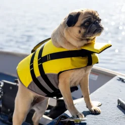 Life Vest for Dogs