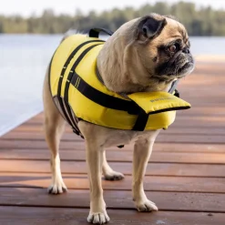 Life Vest for Dogs