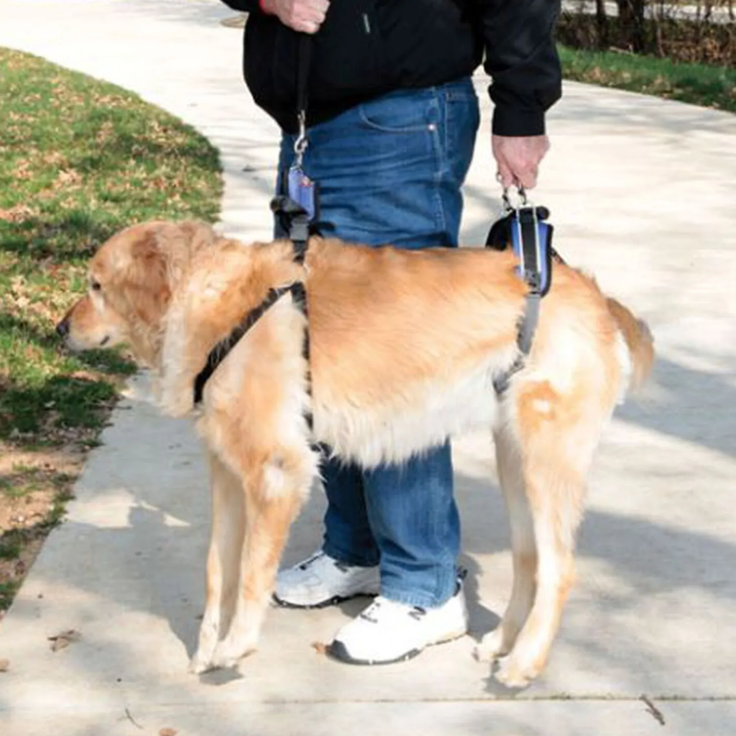 Lifting Aid Harness for Dogs