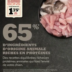 Light and Fit Recipe Dry Dog Food, 6 kg