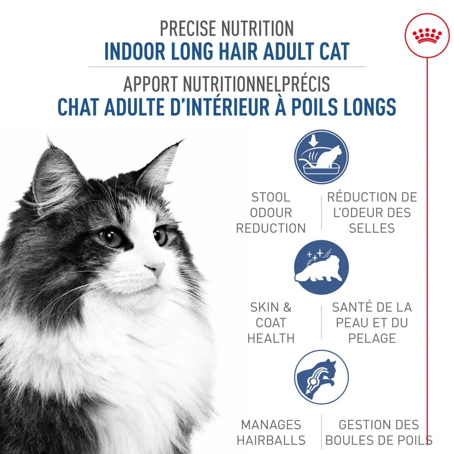 Long Hair Dry Food Formula for Indoor Cats Dry food