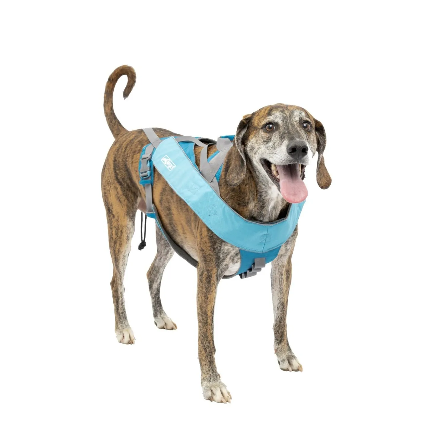 Long Hauler Cradle Back Joring Harness, M