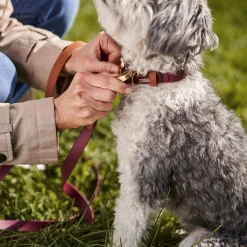 Luxe Waterproof Collar for Dogs, Cabernet