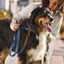 Luxe Waterproof Leash for Dogs, Blue