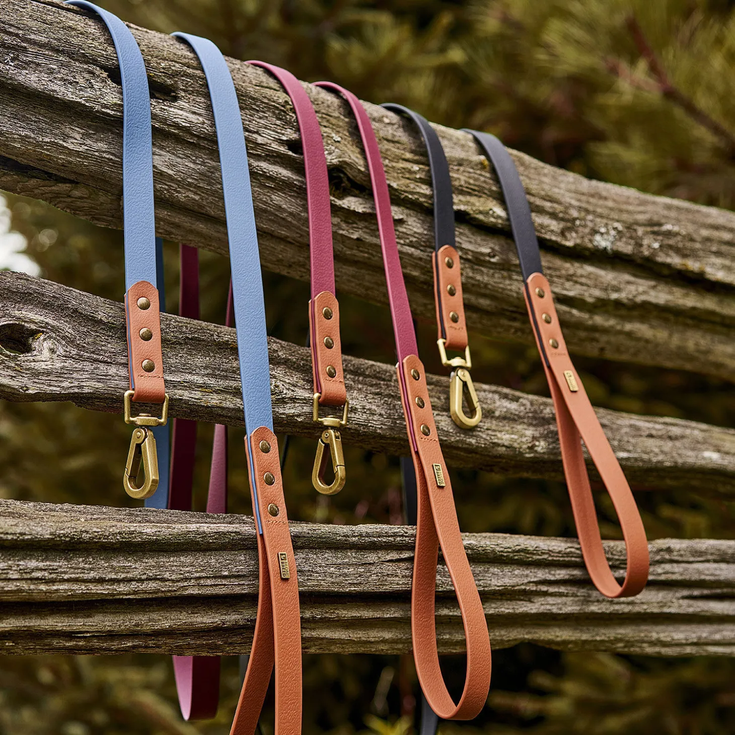 Luxe Waterproof Leash for Dogs, Blue