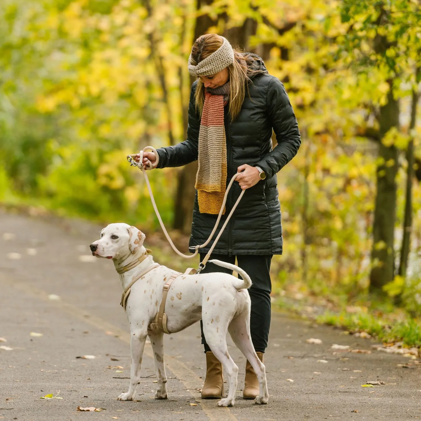 Luxury Rope Leash for Dogs, Sand
