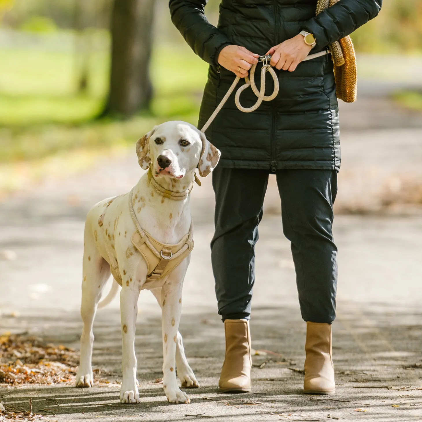 Luxury Rope Leash for Dogs, Sand