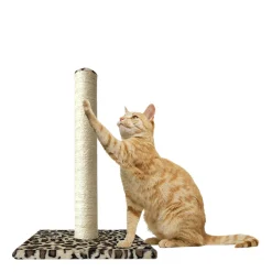 Madrid Scratching Post