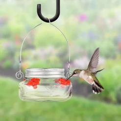 Mason Jar Hummingbird Feeder