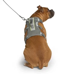 Max Chill Cooling Harness for Dogs
